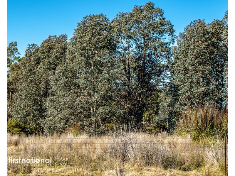 301 Halls Track Road, Sandfly TAS 7150
