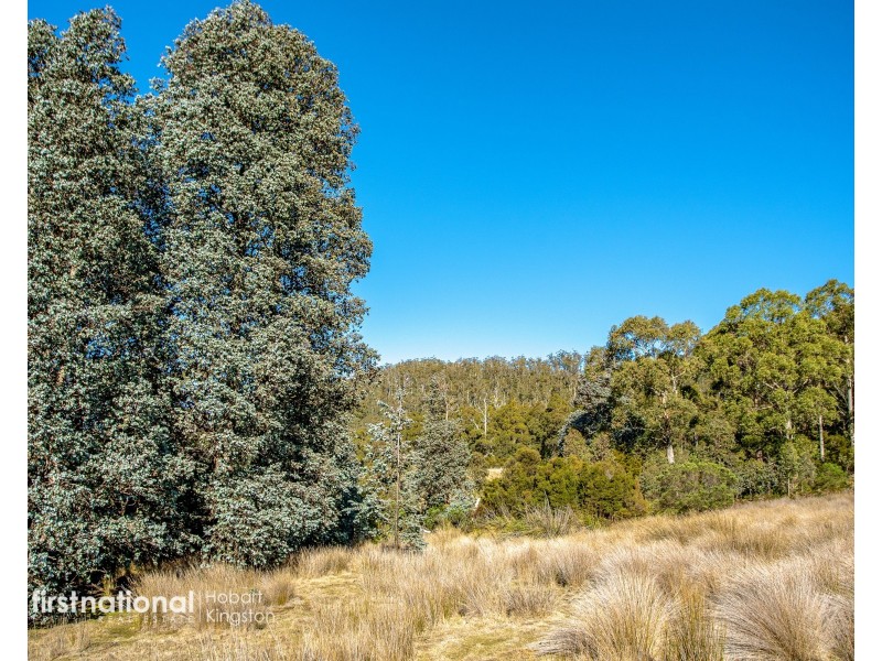 301 Halls Track Road, Sandfly TAS 7150