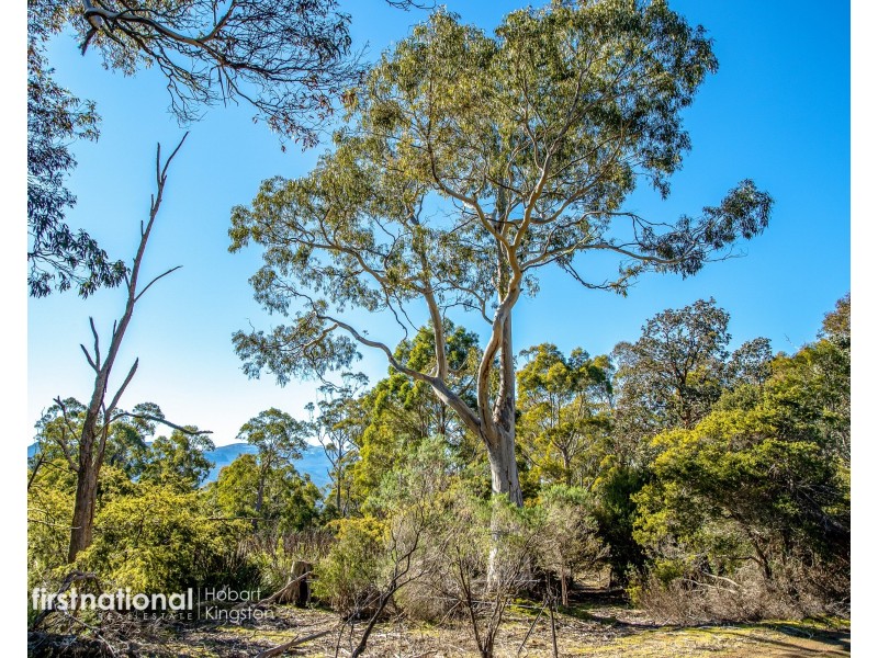 301 Halls Track Road, Sandfly TAS 7150