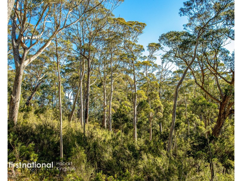 301 Halls Track Road, Sandfly TAS 7150