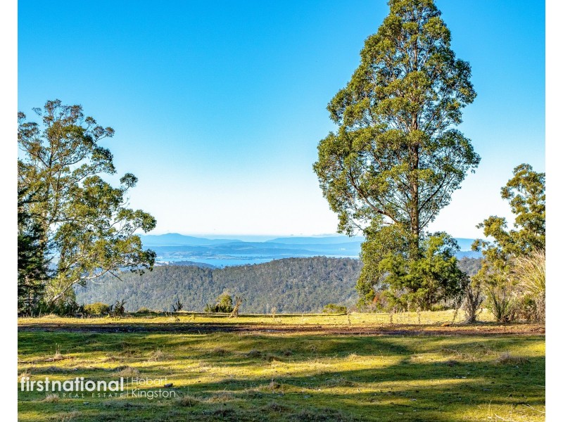 301 Halls Track Road, Sandfly TAS 7150