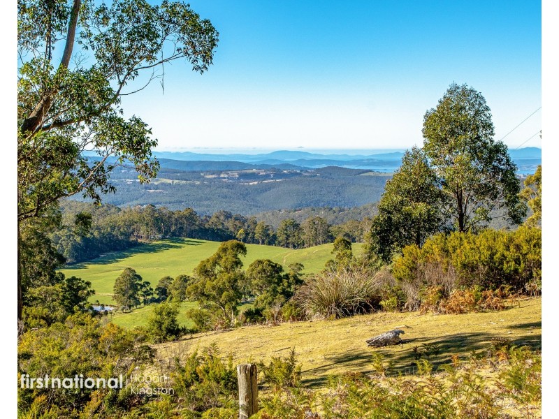 301 Halls Track Road, Sandfly TAS 7150