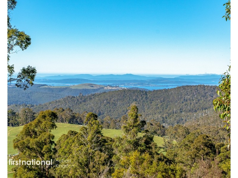 301 Halls Track Road, Sandfly TAS 7150