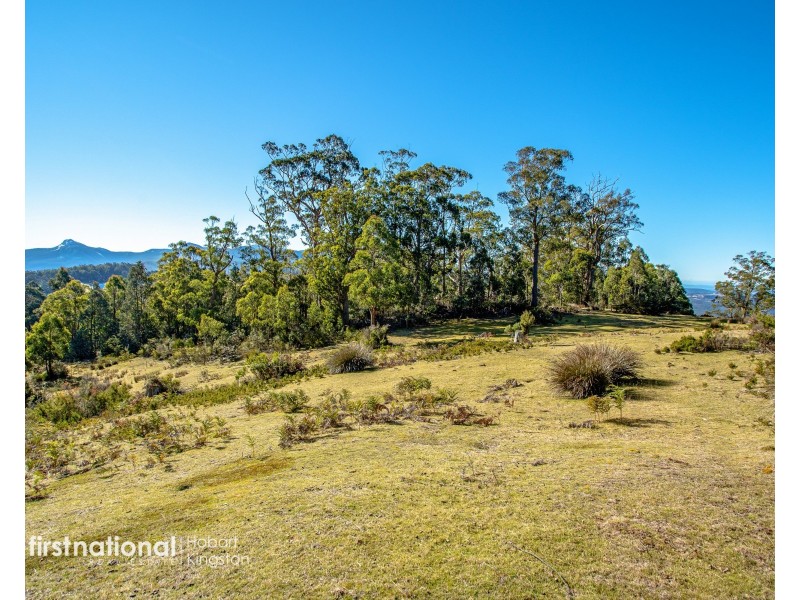 301 Halls Track Road, Sandfly TAS 7150