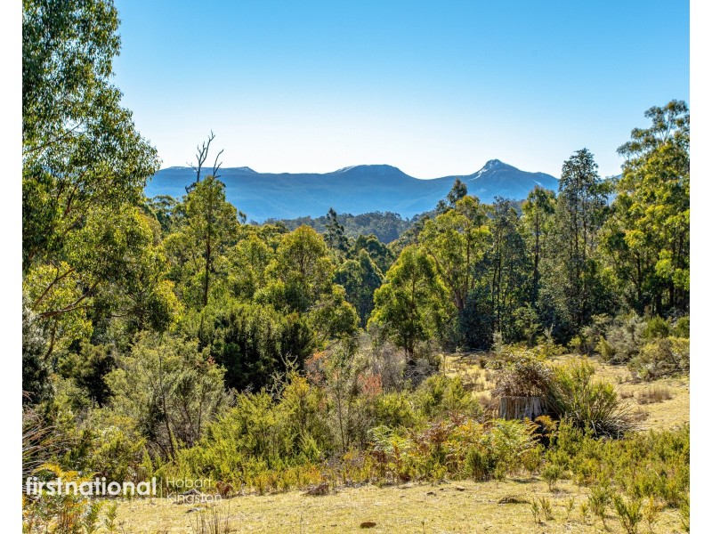 301 Halls Track Road, Sandfly TAS 7150