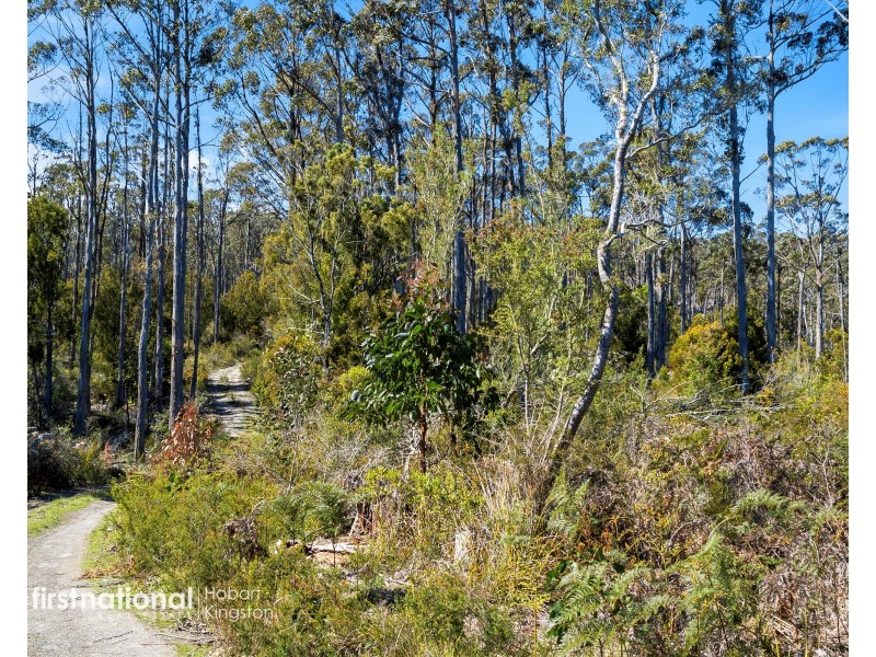 Lot 1 Channel Highway, Cradoc TAS 7109