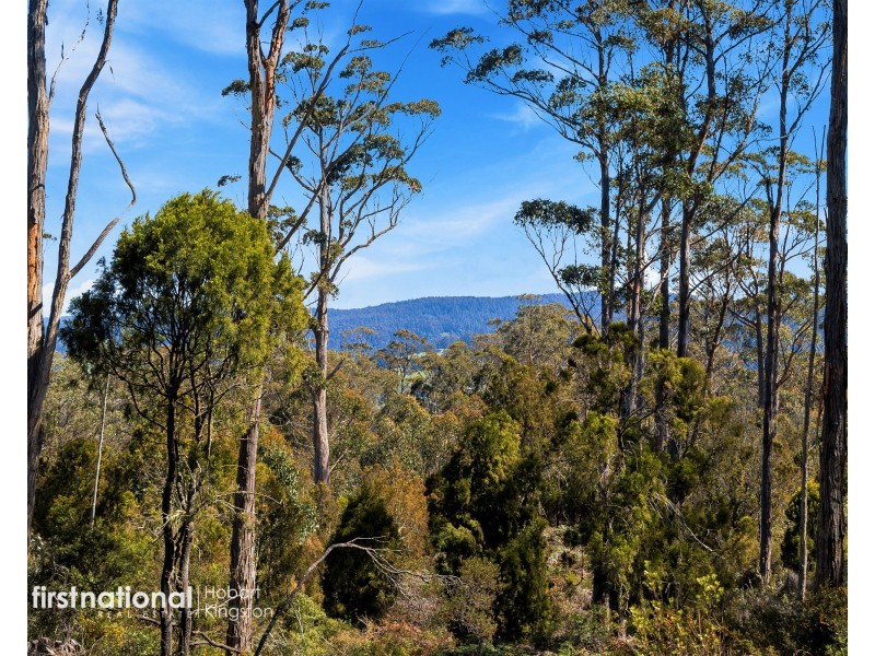 Lot 1 Channel Highway, Cradoc TAS 7109