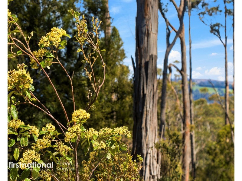 Lot 1 Channel Highway, Cradoc TAS 7109