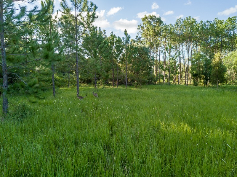 Lot 153 Arborsixteen Road, Glenwood QLD 4570