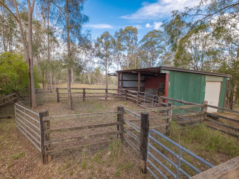 874 McIntosh Creek Road, Calico Creek QLD 4570
