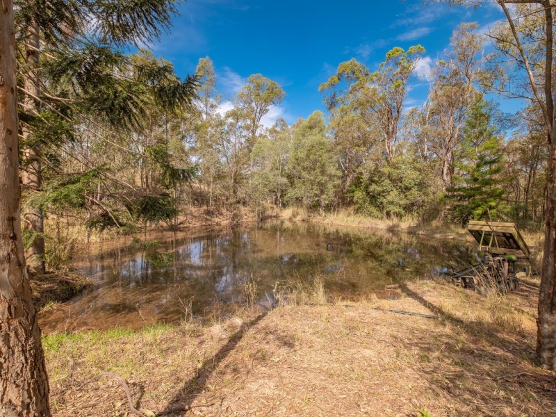 874 McIntosh Creek Road, Calico Creek QLD 4570