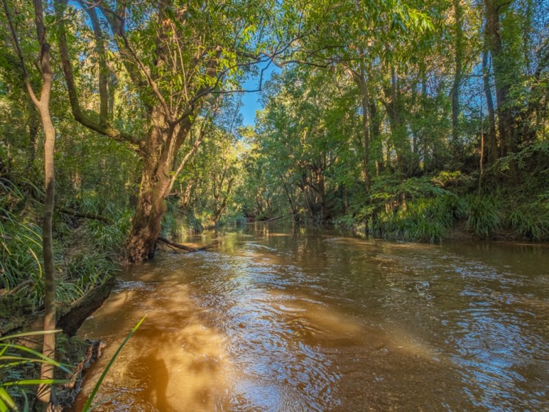 81 Delray Road, Mothar Mountain QLD 4570