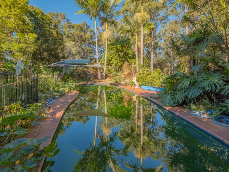 81 Delray Road, Mothar Mountain QLD 4570