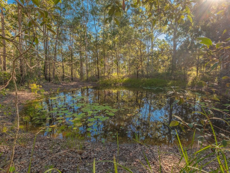 81 Delray Road, Mothar Mountain QLD 4570