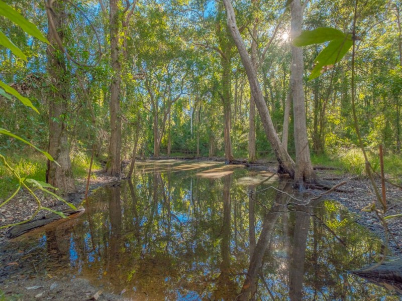 81 Delray Road, Mothar Mountain QLD 4570