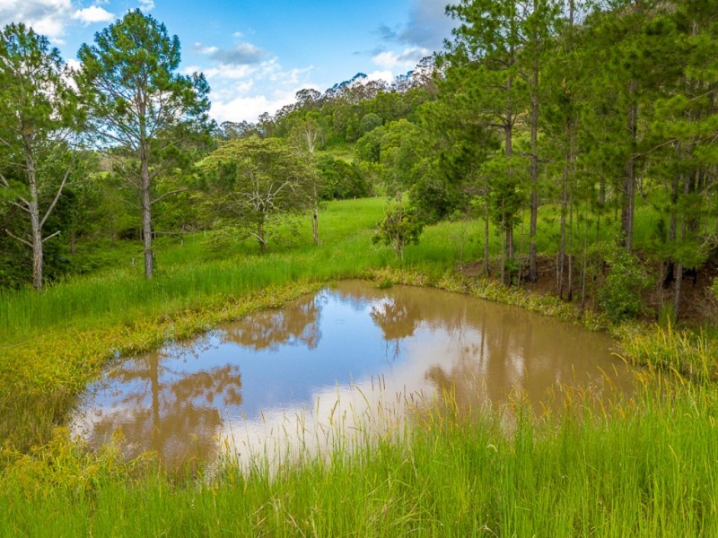 99 Sunshine Road, Wolvi QLD 4570