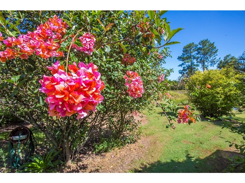 119 Arboreleven Road, Glenwood QLD 4570