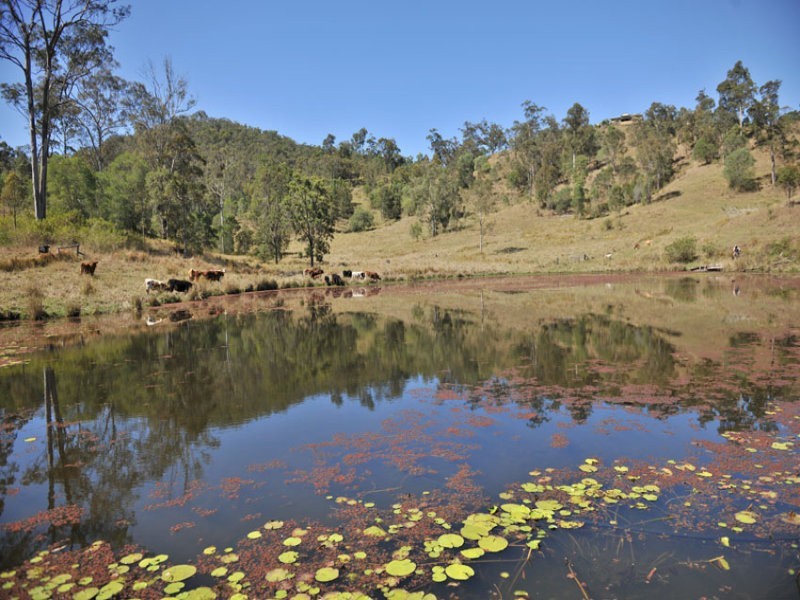 2045 Amamoor Creek Road, Amamoor Creek QLD 4570