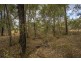 Lot 516 Arborcrescent Road, Glenwood QLD 4570