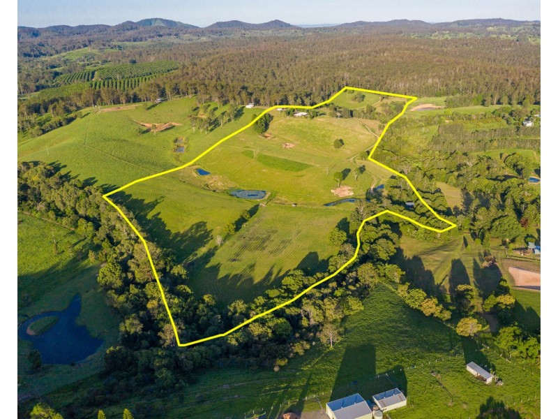 161 Tatnell Road, North Deep Creek QLD 4570