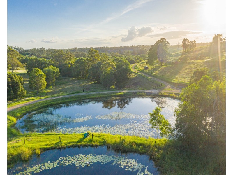 161 Tatnell Road, North Deep Creek QLD 4570