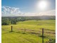 161 Tatnell Road, North Deep Creek QLD 4570