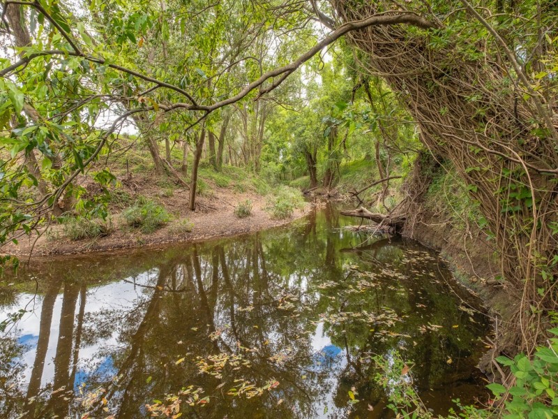 79 Silky Oak Drive, Nahrunda QLD 4570