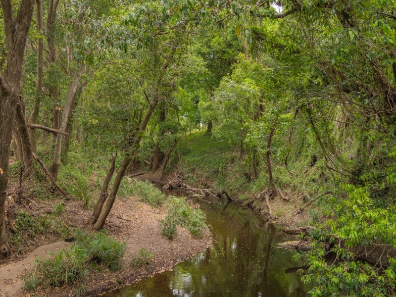 79 Silky Oak Drive, Nahrunda QLD 4570