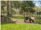 29 Hartwig Road, Mothar Mountain QLD 4570