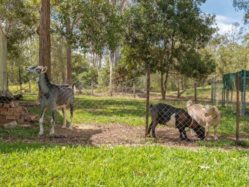 29 Hartwig Road, Mothar Mountain QLD 4570