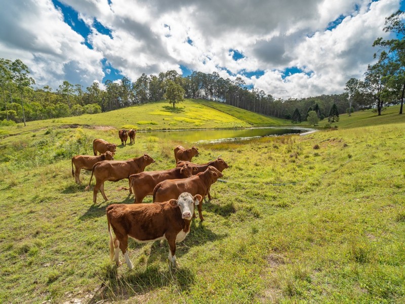 825 North Deep Creek Road, North Deep Creek QLD 4570