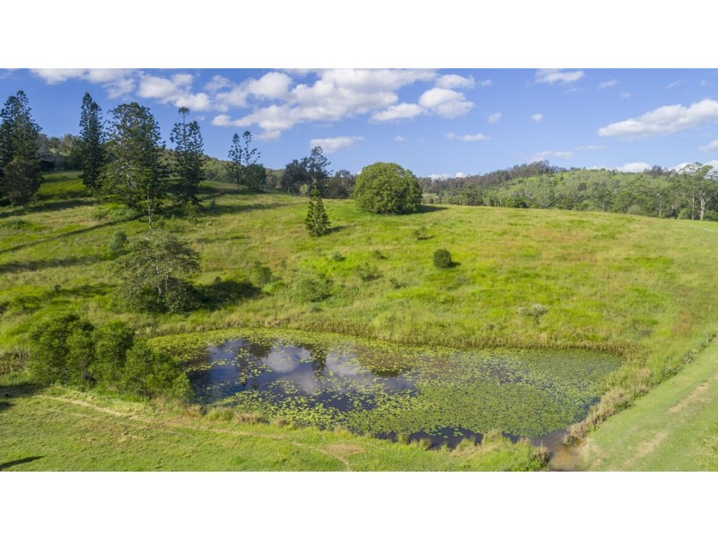 32 Window Road, Canina QLD 4570