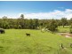 345 Sandy Creek Road, Veteran QLD 4570