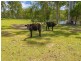280 Tinana Road, Goomboorian QLD 4570