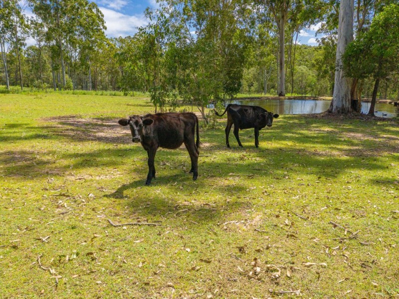 280 Tinana Road, Goomboorian QLD 4570