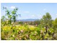 Lot 1 Leshaan Road, Canina QLD 4570