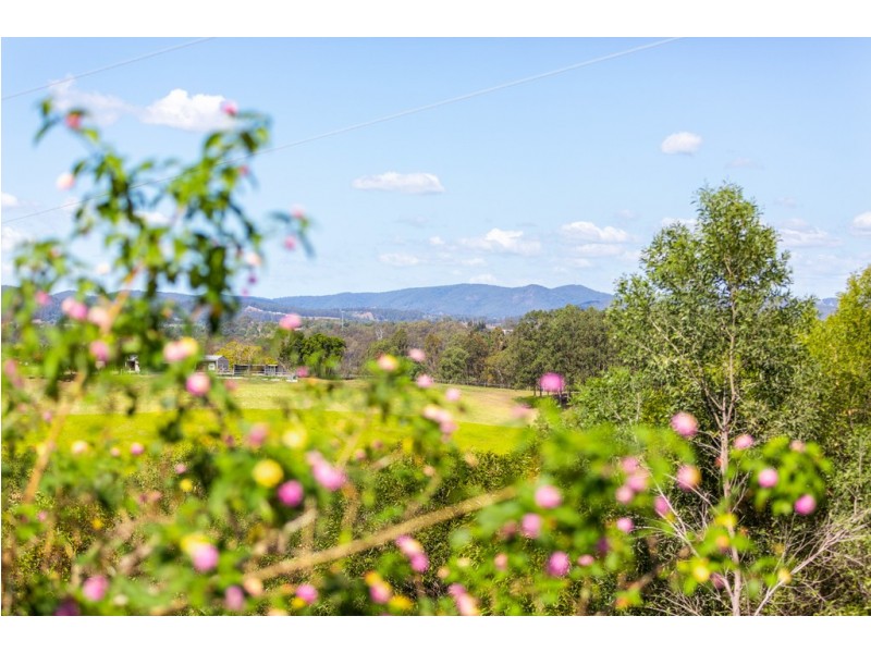 Lot 1 Leshaan Road, Canina QLD 4570