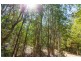 Lot 1 Leshaan Road, Canina QLD 4570