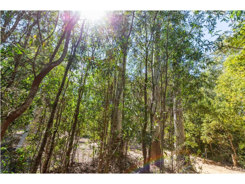 Lot 1 Leshaan Road, Canina QLD 4570