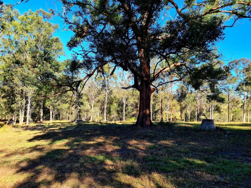 18 Baroona Court, Tamaree QLD 4570