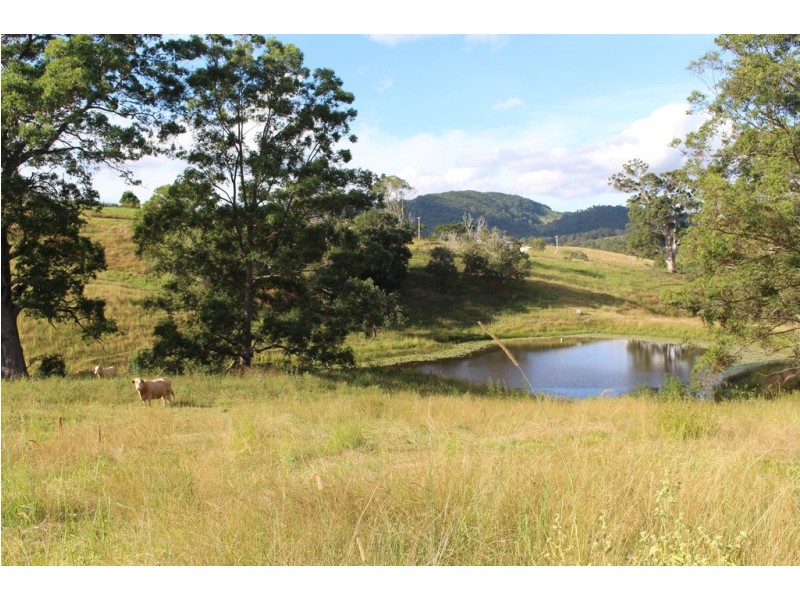 605 Shadbolt Road, Cedar Pocket QLD 4570