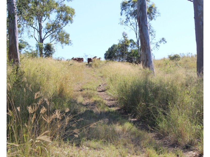 0 Repeater Station Road, Gunalda QLD 4570