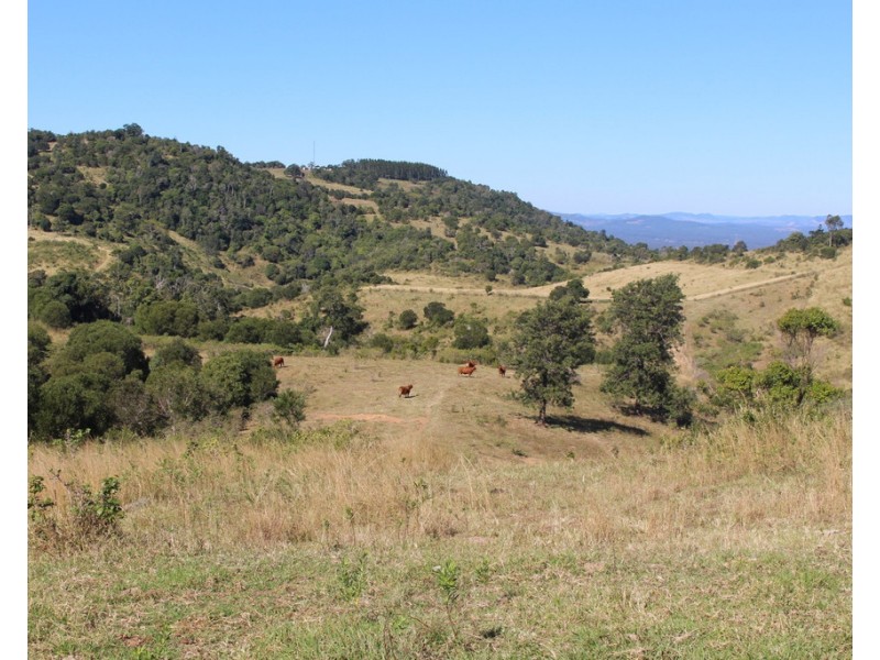 0 Repeater Station Road, Gunalda QLD 4570