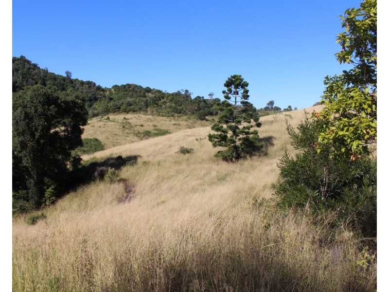 0 Repeater Station Road, Gunalda QLD 4570