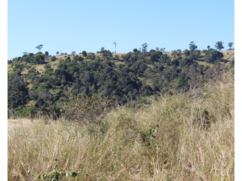 0 Repeater Station Road, Gunalda QLD 4570