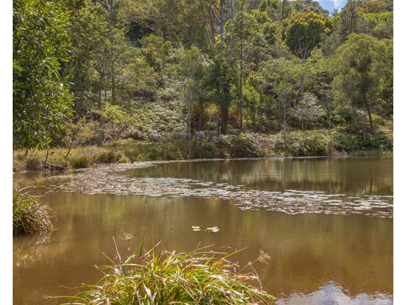 907 Neusavale Road, Kin Kin QLD 4571