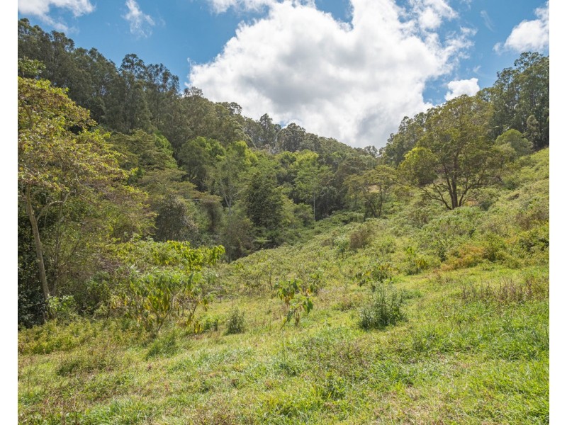 907 Neusavale Road, Kin Kin QLD 4571