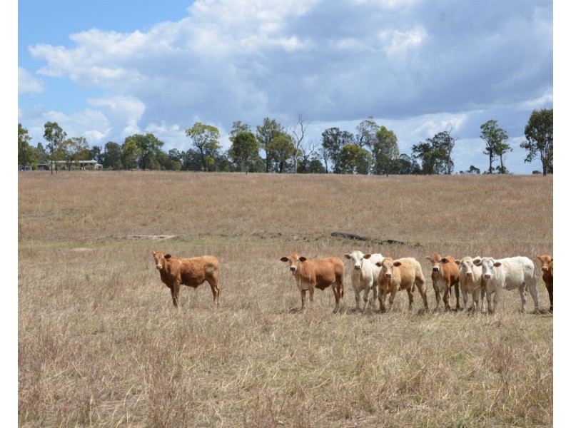 731 Eureka Station Road, Eureka QLD 4660