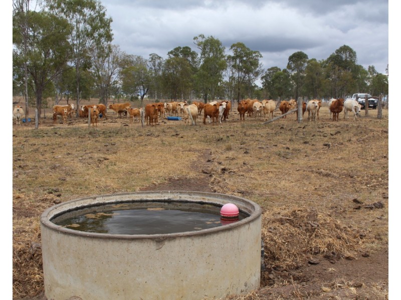 731 Eureka Station Road, Eureka QLD 4660