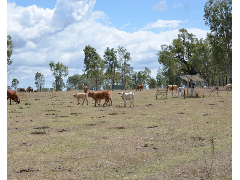 731 Eureka Station Road, Eureka QLD 4660
